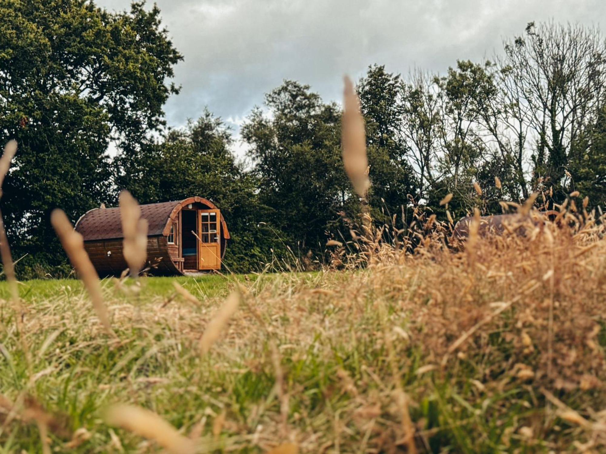 Fully Furnished Bell Tent 1 St Austell Kültér fotó